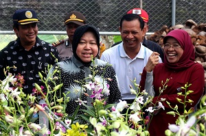 Eks Lokalisasi Sememi Jadi Tempat Budi Daya Anggrek dan Jamur