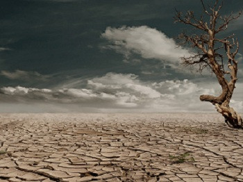 2 Daerah di Jatim Diminta Tetapkan Status Darurat Kekeringan