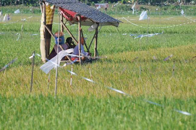 Kisah Petani Menanam Uang untuk Berhaji