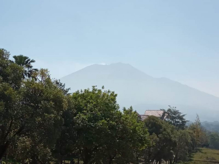 Puncak Gunung Arjuna Kembali Terbakar