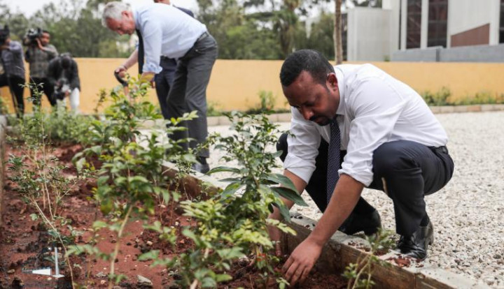 Tangkal Perubahan Iklim, Ethiopia Tanam 353 Juta Pohon