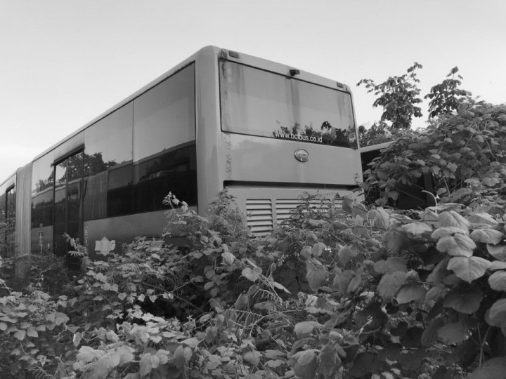 Aroma 'Busuk' di Kuburan Massal Bus TransJakarta