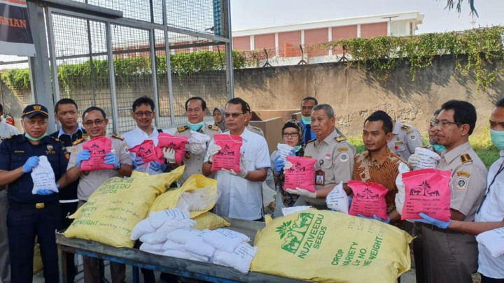 Benih Jagung Asal India Terkontaminasi Bakteri