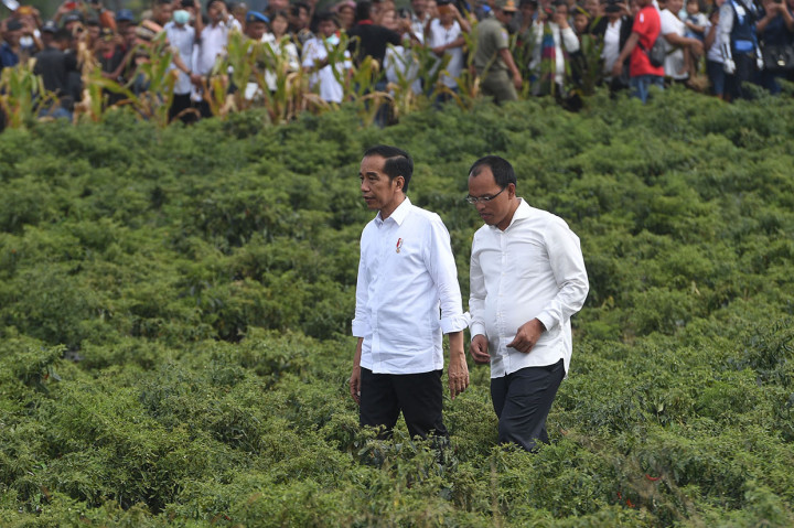 Presiden Tinjau Proyek Peternakan dan Pertanian di Humbang Hasundutan