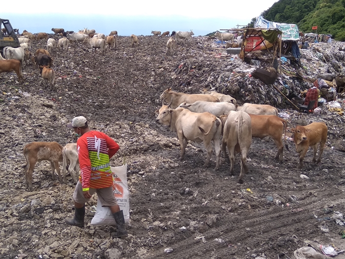 Warga Bantul Tuntut Kompensasi Bau Sampah