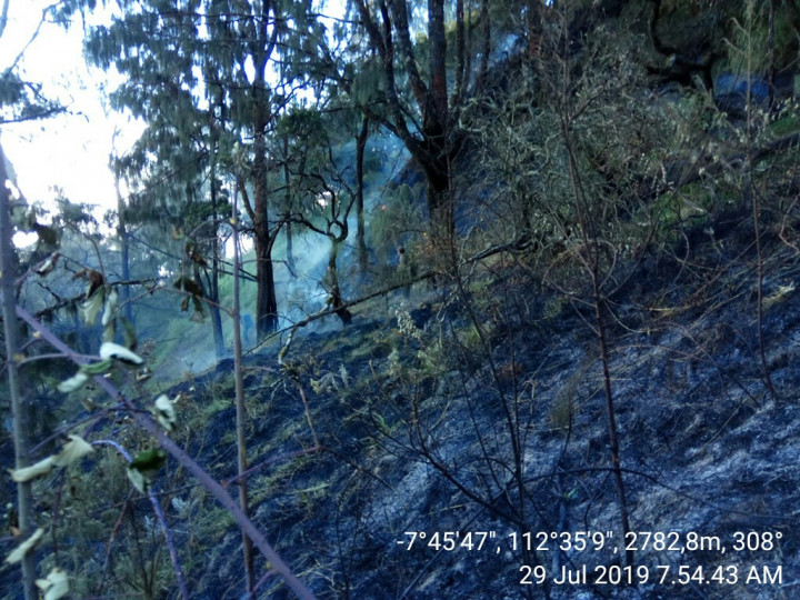 Sisa Kebakaran Gunung Arjuna Diwaspadai