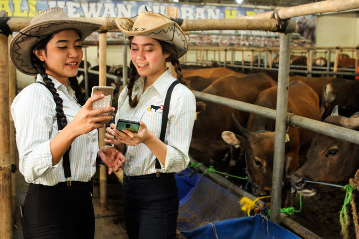 Gaya SPG Cantik Tawarkan Hewan Kurban