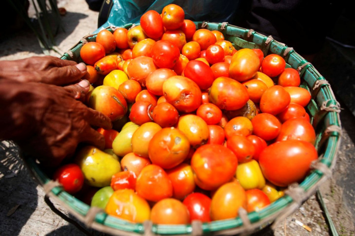 Punya Keunggulan, Industri Saus Tomat RI Bersaing Ketat