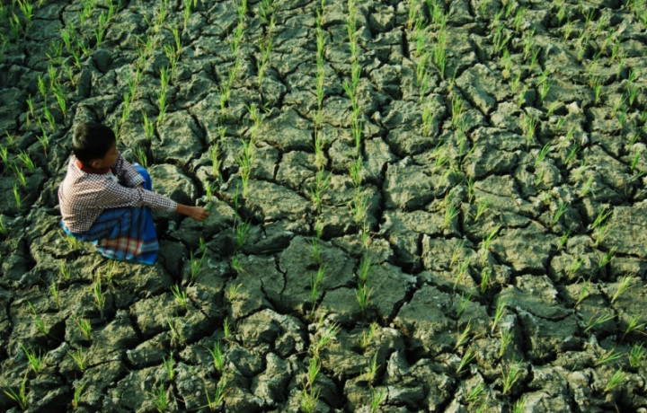 Warga Marunda Kesulitan Cari Air Bersih