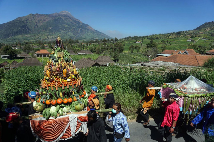 Serunya Tradisi Tungguh Tembakau Petani Lereng Merbabu