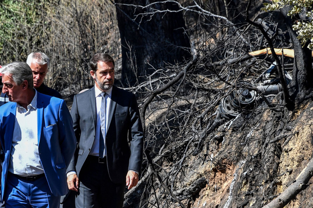 Pesawat Jatuh Saat Padamkan Kebakaran Hutan, Pilot Tewas