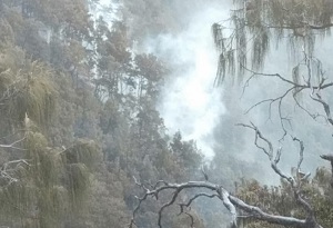 Embun Beku Diharap Bisa Redakan Kebakaran Gunung Arjuna