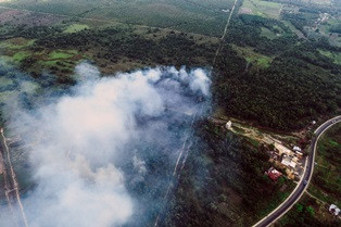 Jokowi Malu Kebakaran Hutan Jadi Berita Utama Mancanegara