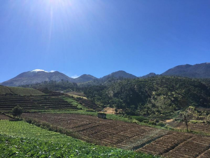 Kebakaran Gunung Arjuna Padam Total