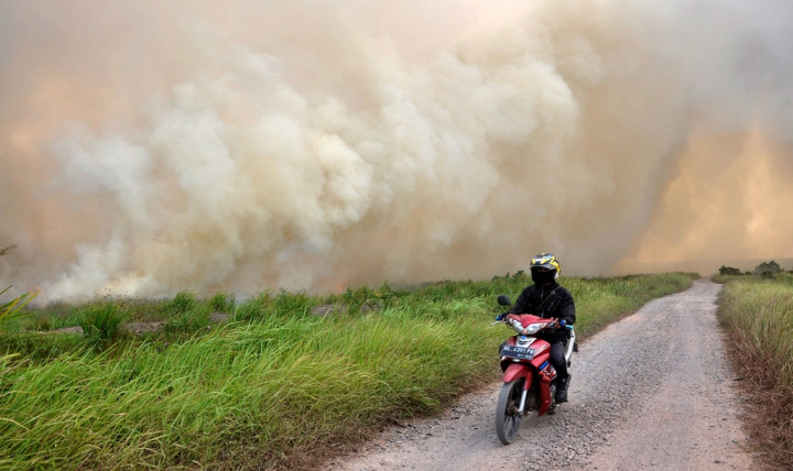 Ancaman Jokowi Merespons Karhutla Dianggap Wajar