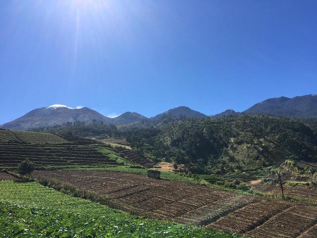 Pantauan visual Gunung Arjuna. (BPBD Kota Batu).