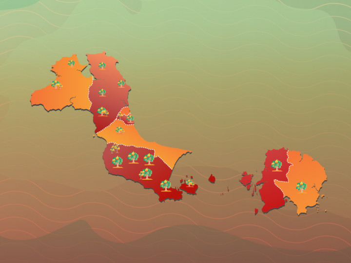 106 Titik Rawan Karhutla di Babel