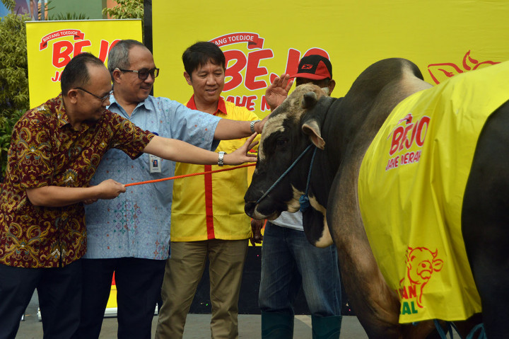 Metro TV  Terima Hewan Kurban dari Bintang Toedjoe