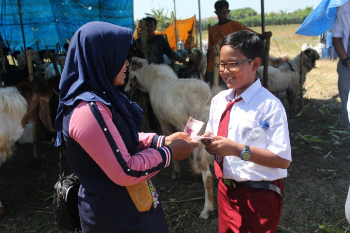 Pentingnya Ijab Kabul Pembelian Hewan Kurban