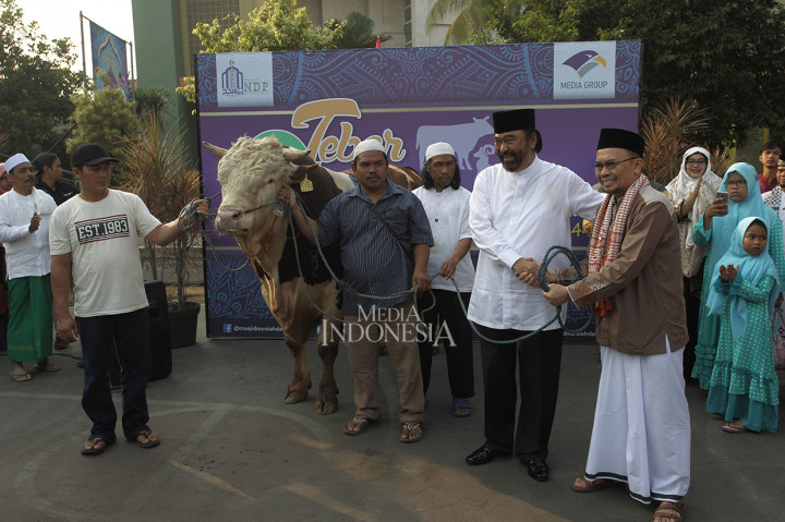 Surya Paloh Kurban Sapi Seberat 1 Ton