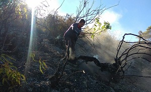 Tim Gabungan Sisir Bekas Kebakaran di Gunung Sumbing
