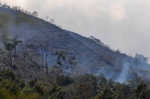 25 Pendaki Gunung Sumbing Dievakuasi