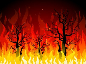 Lahan di Gunung Batukaru Terbakar