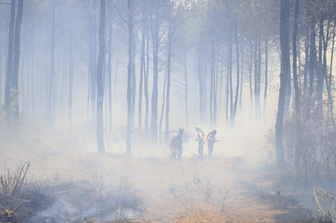 Kebakaran Di Gunung Ciremai Padam Medcomid