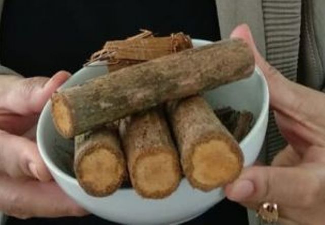 Akar Bajakah--MI/Surya Sriyanti.