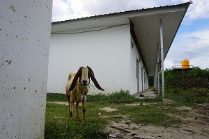 915 Bilik Huntara di Palu Tak Berpenghuni