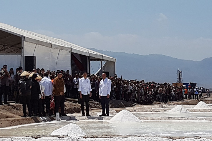 Jokowi Tinjau Tambak Garam di Kupang