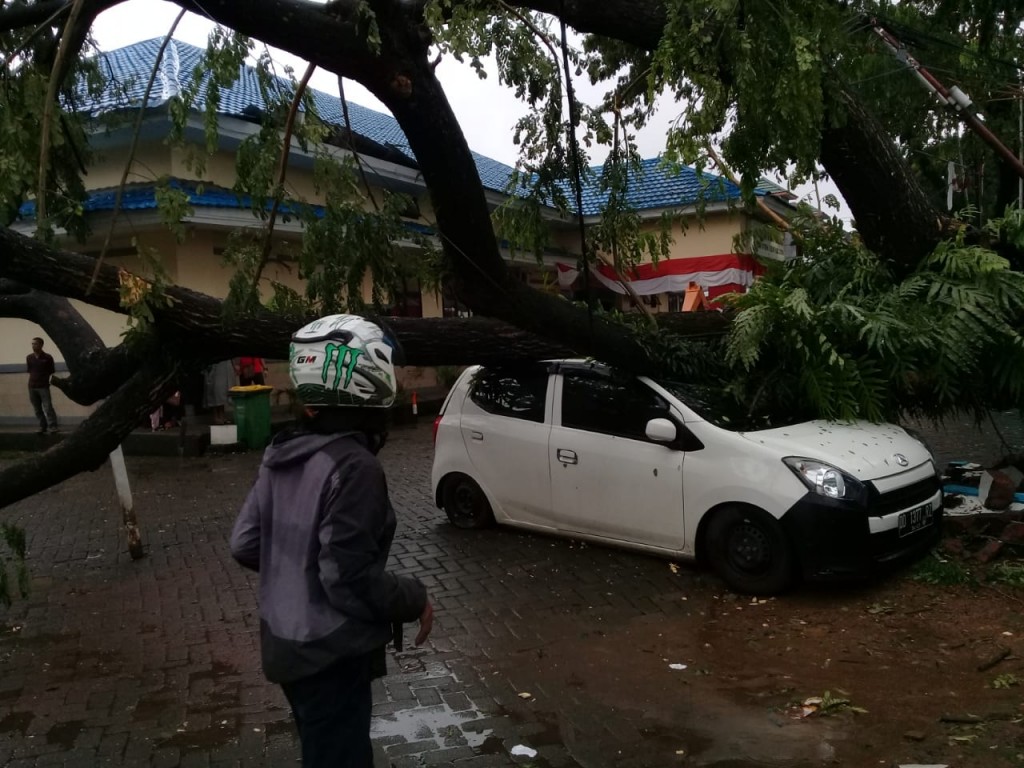 Ilustrasi mobil tertimpa pohon tumbang. (Foto: Medcom.id/ Muhammad Syawaluddin).