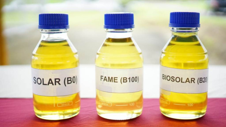 Biodiesel Sawit Bantu Kurangi 10,58 Juta Ton Emisi Gas Rumah Kaca