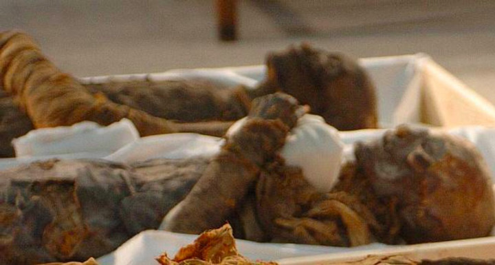 Museum di Tiongkok Tawarkan Menginap Bersama Mumi