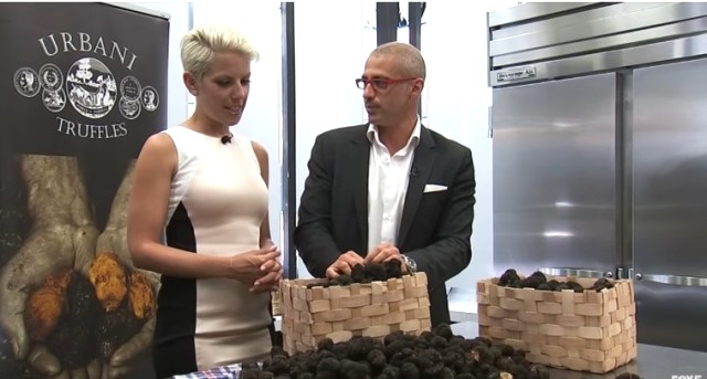 Kenapa Jamur Truffle Mahal? Ini Alasannya