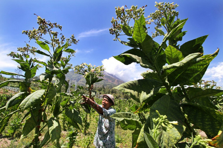 Gudang Garam akan Naikkan Harga Rokok