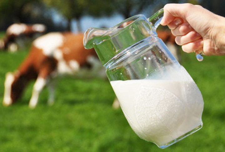 Gejala Anak Alergi Susu Sapi