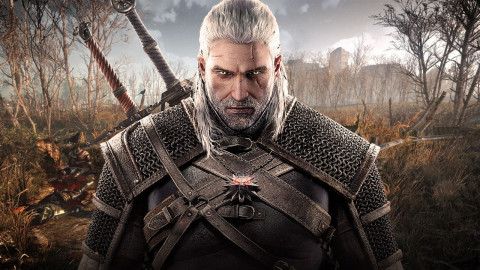 Hasil gambar untuk game The Witcher