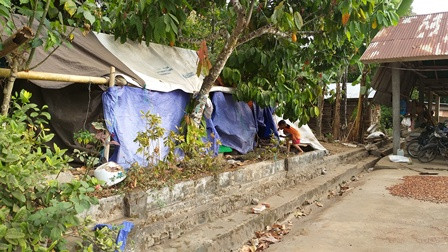 Korban Gempa Lombok Masih Tinggal di Tenda Darurat