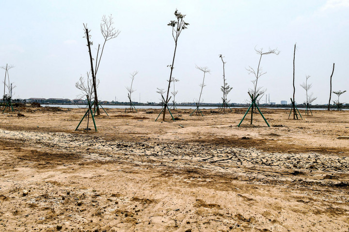 Waduk Rorotan Terbengkalai