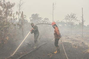 Kabut Asap Mempersulit Pemadaman Kebakaran Lahan di Riau