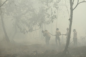 Presiden Minta Penerima Sertifikat di Kalbar Tidak Bakar Lahan