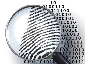 18 Saksi Diperiksa Terkait Kasus Kebakaran Lahan Korporasi