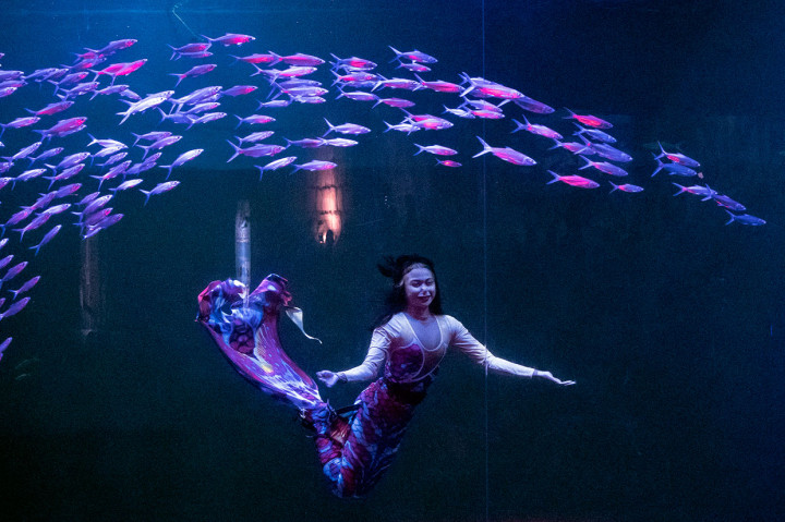 Ancol Hadirkan Pertunjukan Magical Wondersea