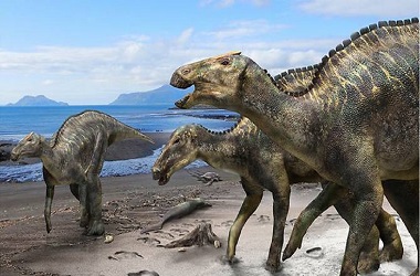 Spesies Baru Dinosaurus Ditemukan di Jepang