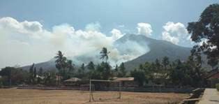 Gunung Ile Mandiri Flores Terbakar