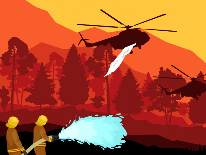 Upaya Pemadaman Karhutla