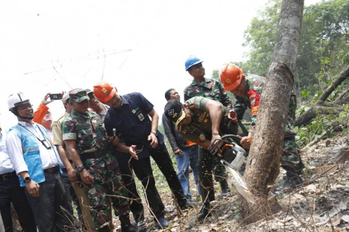 Pohon Tak Bisa Jadi Penyebab <i>Blackout</i>