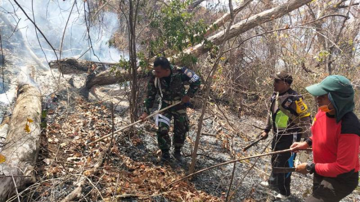 Polisi Selidiki Penyebab Kebakaran di Gunung Ile Mandiri