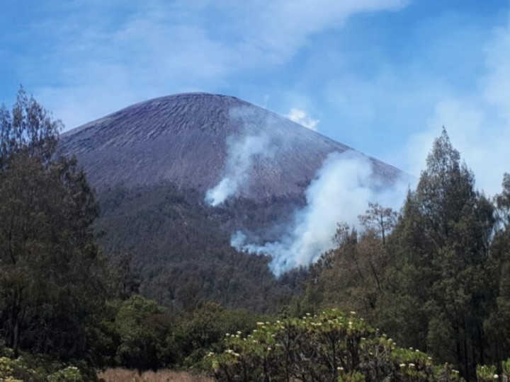 Hutan Gunung Semeru Terbakar